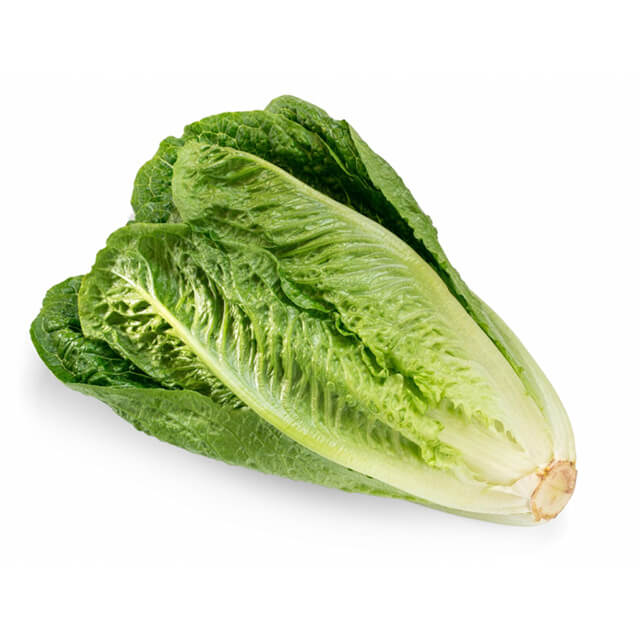 Romaine Hearts - image 01
